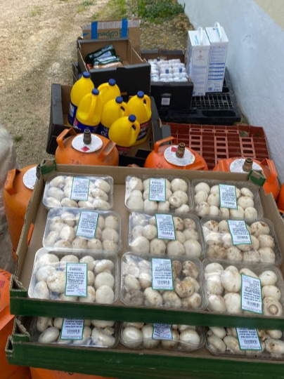 Crates of shopping